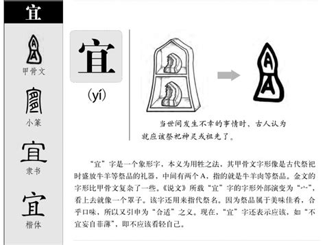 宜字五行|宜的意思，宜字的意思